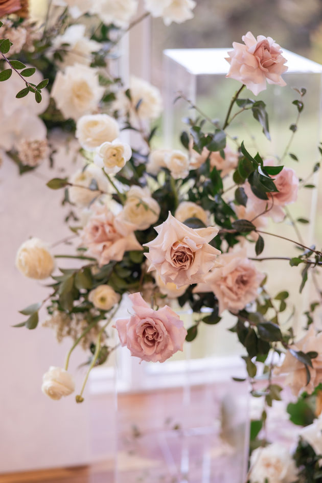 Chernay + Angus-325.jpg