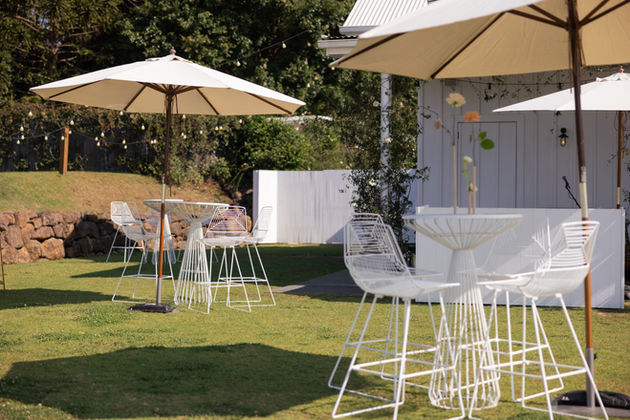 Chernay _2b Angus-568.jpg