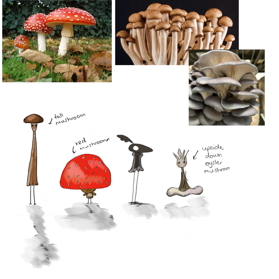 mushrooms coloured