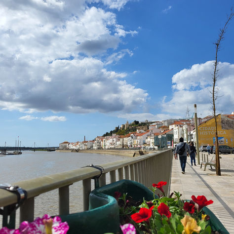 Portugal travel recap: Alcacer do Sal, Comporta, and Setubal