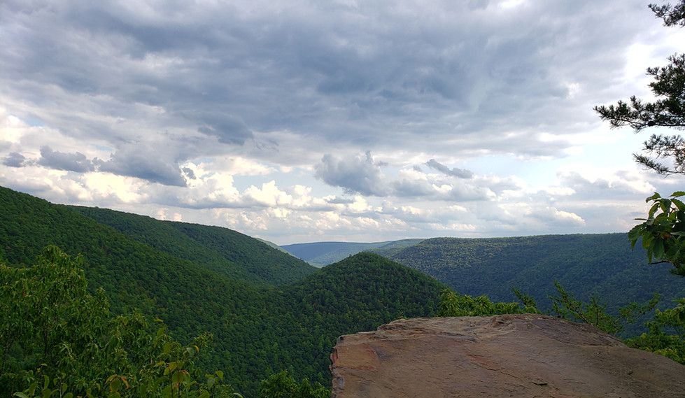 Loyalsock lookout.jpg