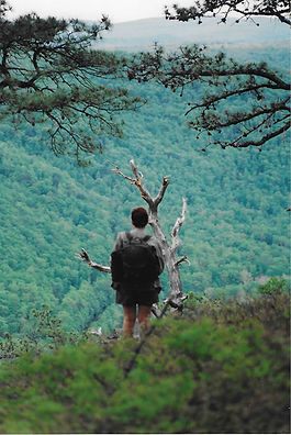 PA Lookout.jpg