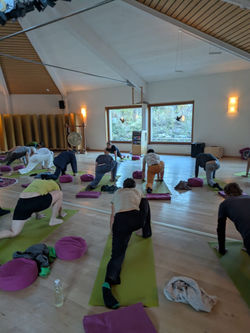 ACF75BA0-F3AB-4A8B-B2D1-57DD6A5162ED