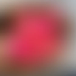 PORTICELLO IM WINTER