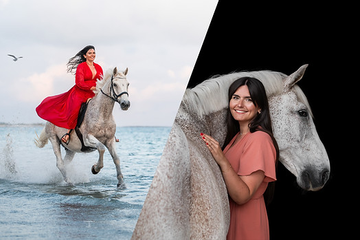 formule mixte copie.jpg