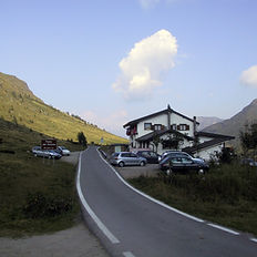 Gavia