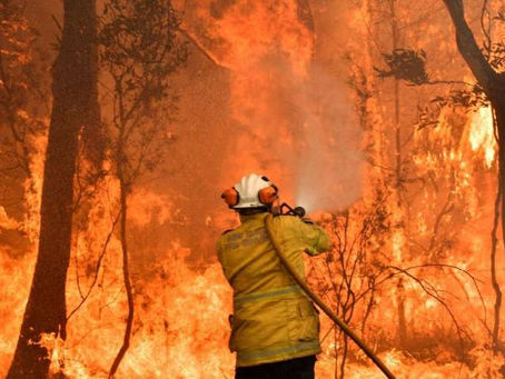 Bushfire relief: How you can help those in need