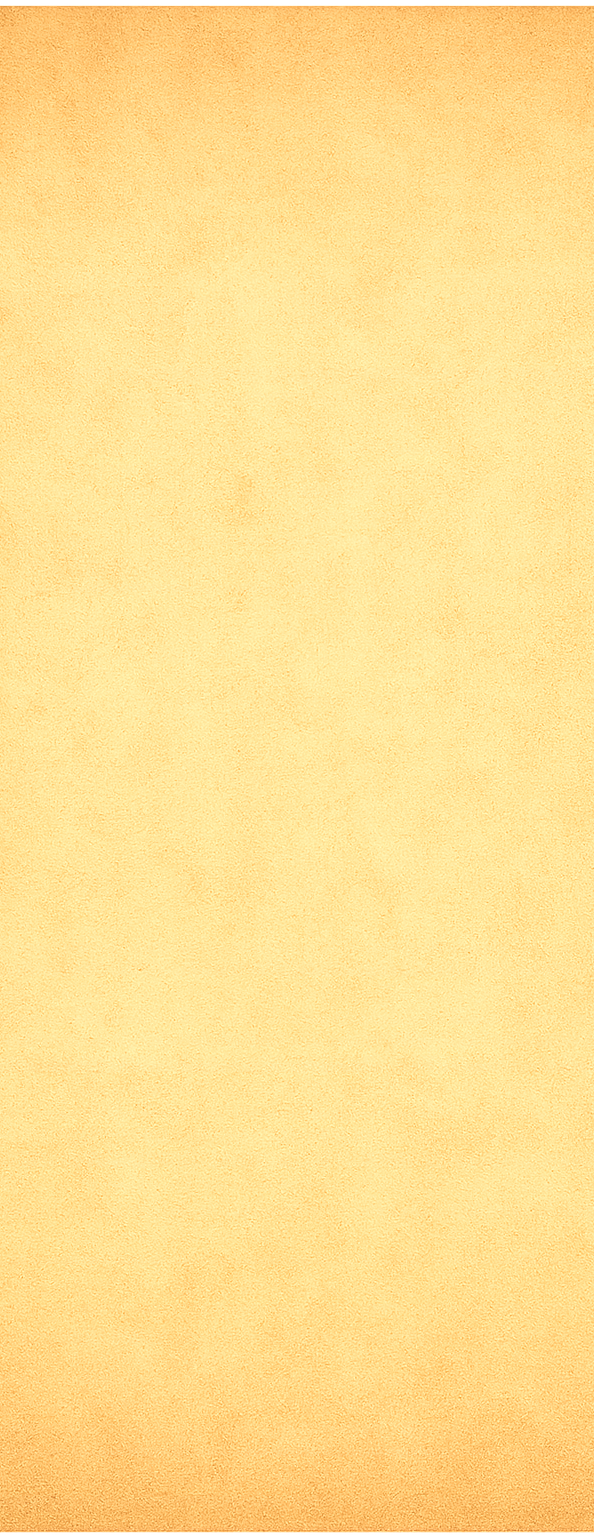 Book Page Parchment_edited.png