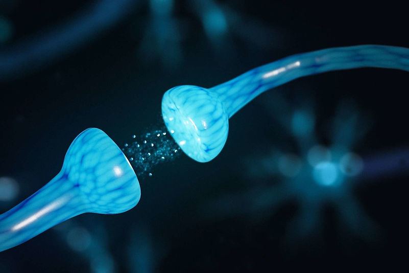 neurons.jpg
