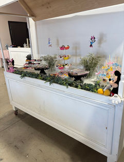 Decorated Treat Table for 50 Guests, all in theme of event.