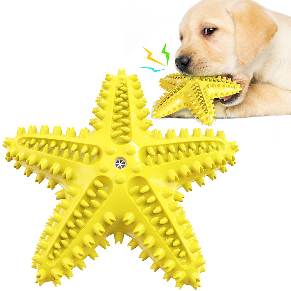 Thumbnail: Dog Chewing Toys Dog Toothbrush