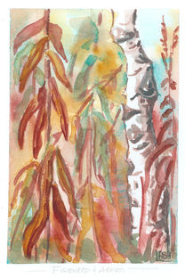 red and gold fireweed leaves beside detailed aspen trunk, Kluane National Park, Yukon Territory