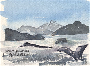 Whales and Peaks at Point Adolphus