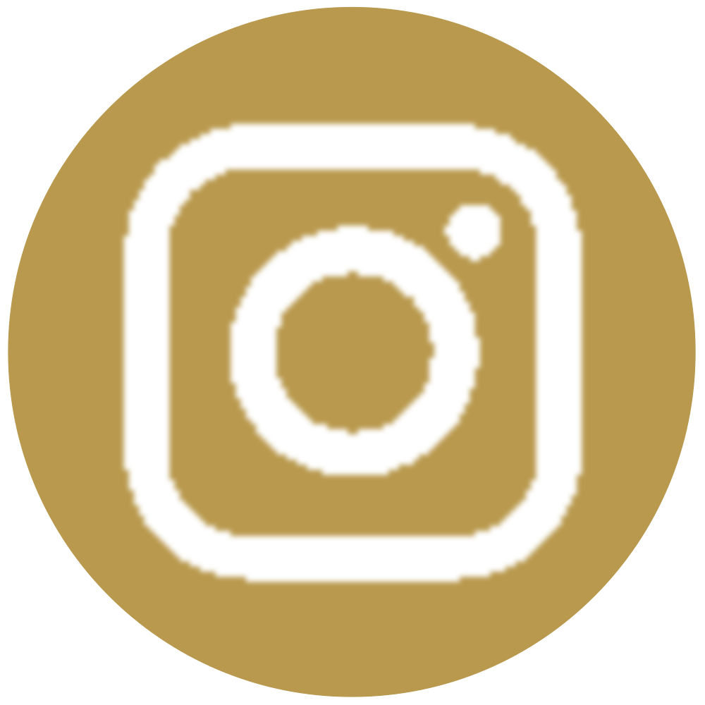 Bluegold Instagram Icon.png