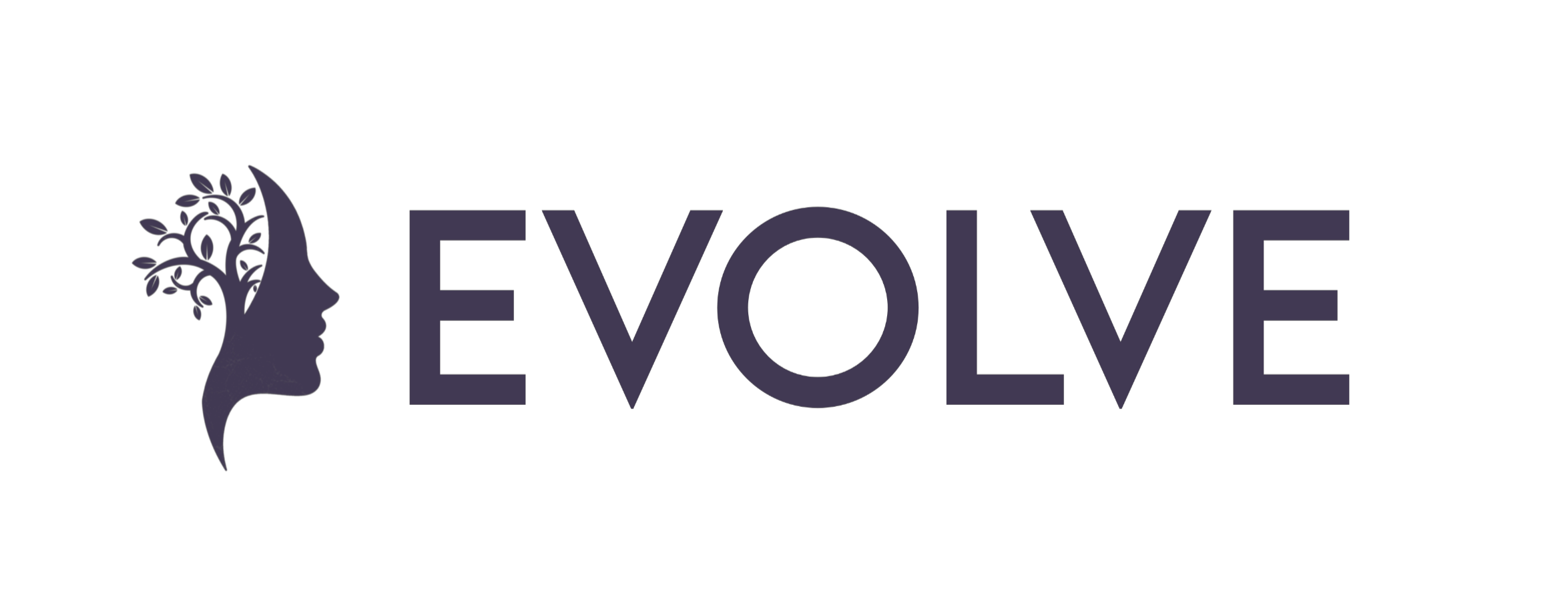 Evolve Logo White_edited.png