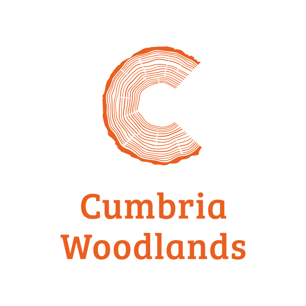 Live and online woodland management course