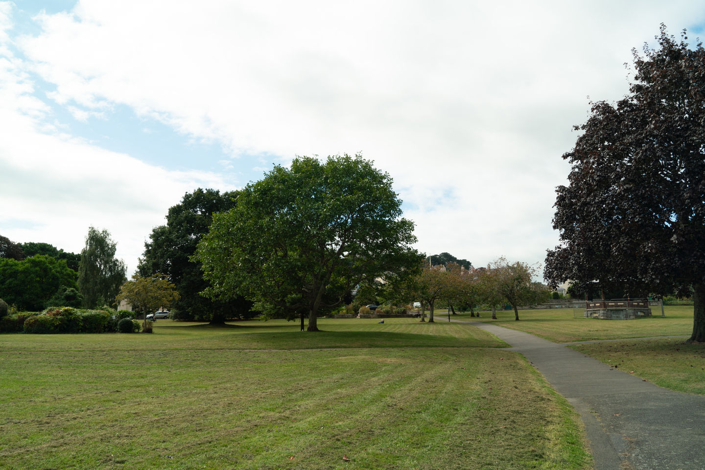 Evolving Forests-2156.jpg