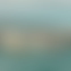 Beyond The Catch - Festive Edition 2024