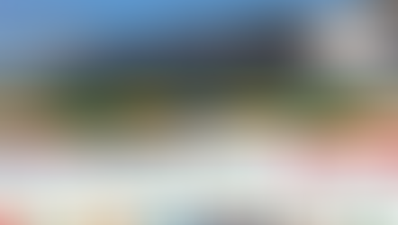 The Positive Contributions of Diaspora Communities In Ethiopia's Diplomacy: Resisting and Taking The GERD To Successive Stage