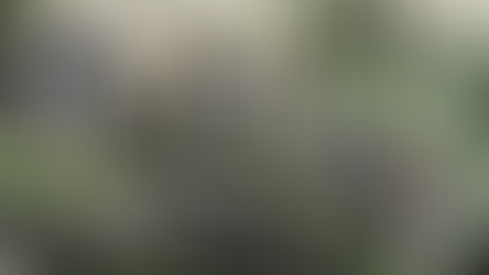 Comment L'esclavage A Fondamentalement Modifié Les Economies Africaines