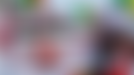 Implication Economique Et Politique De La Diaspora Sénégalaise Au Pays