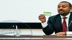 ETİYOPYA'DA POLİTİK REFORM, PARA DEĞİŞİMİ, ENFLASYONUN DURDURULMASI VE YABANCI PARA KISINTILARI: ETİYOPYA DIASPORA'SININ DİRENCİN İLERLEMESİNDEKİ ROLÜ