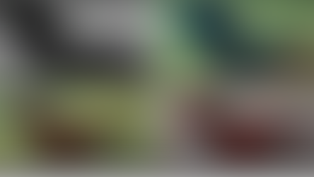 Lac-Tchad : Une source de vie sous menace d’extinction