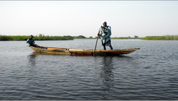 Çad Gölü: Yok olma tehdidi altında bir yaşam kaynağı