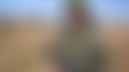 Montée et déclin de la Russie en Afrique