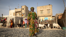 Saint-Louis'de İklim Değişikliği ve Gaz Kullanımının Etkileri