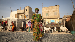 Saint-Louis'de İklim Değişikliği ve Gaz Kullanımının Etkileri