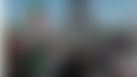 Economic and Political Involvement of The Senegalese Diaspora at Home