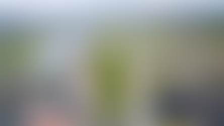 The Vital Role of the Ethiopian Diaspora in Driving Economic Development: Policies and Investments