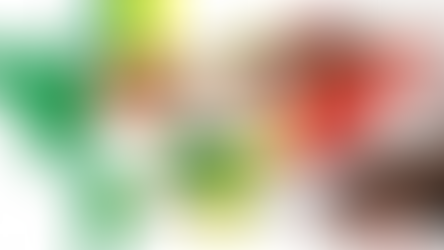 Senegal Diasporasının Kendi Ülkesinde Ekonomik Ve Siyasi Katılımı