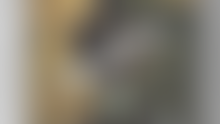 Formalism in Sudanese Poetry