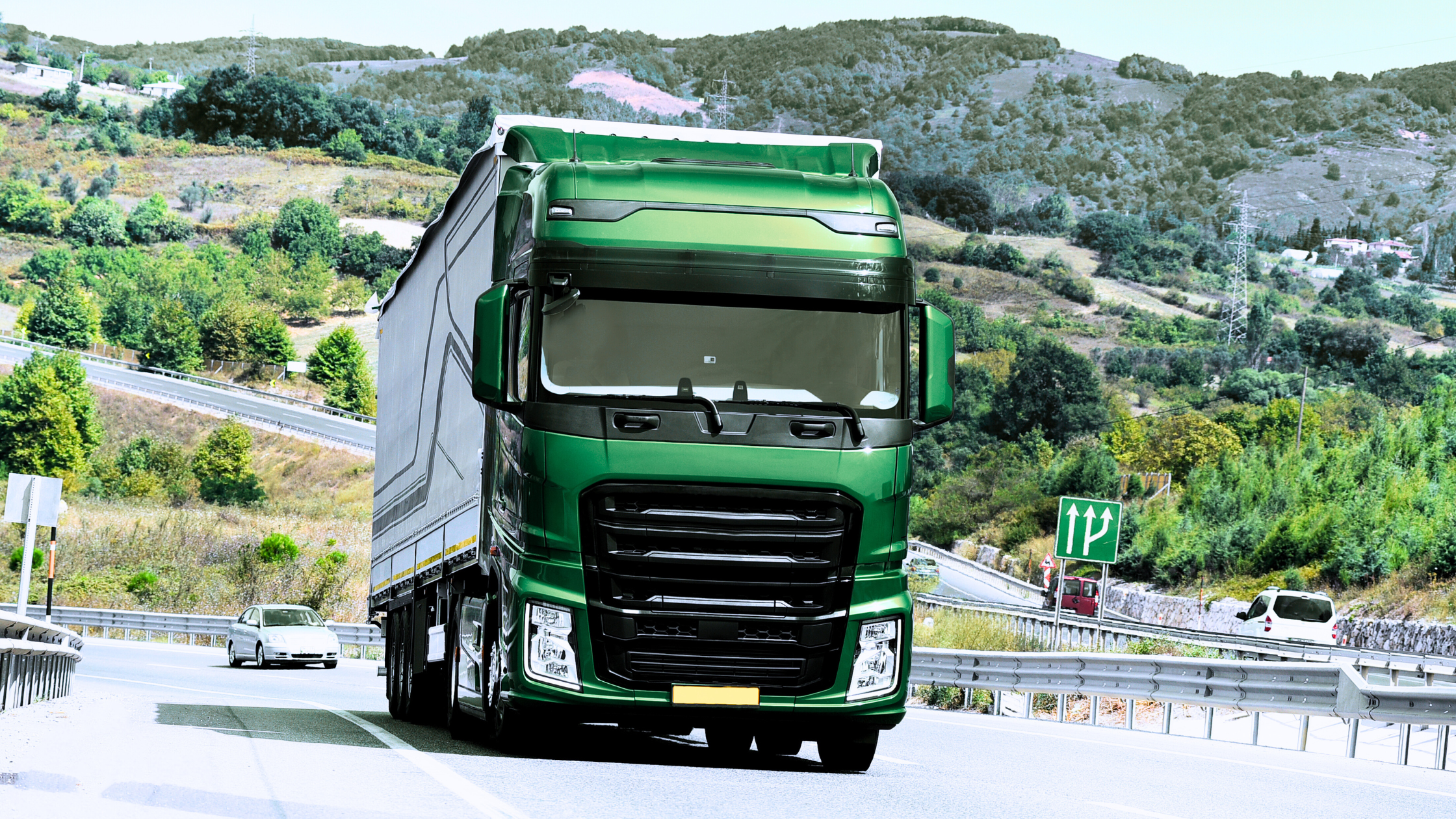 Capabilities of Fleet Management Software