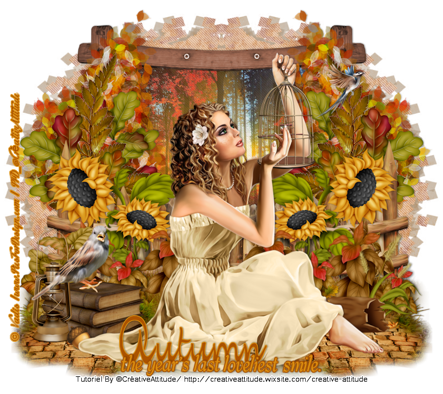 Autumn