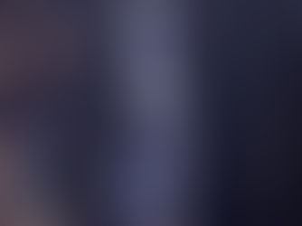 PETTEGOLEZZI IN PASSERELLA