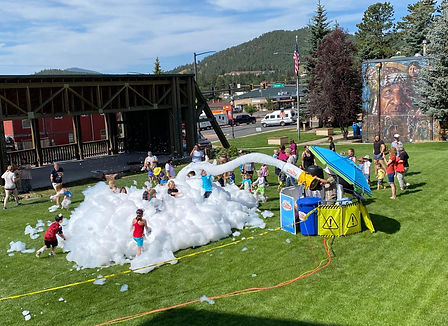 Woodland Library FB post.jpg