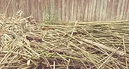 tree limbs and debris removal slidell