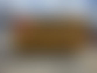 Top Reasons to Choose a Dumpster Rental Service in Marrero LA (504) 206-2250