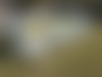 Safe and Expert Above Ground Pool Removal: Your Go-To Guide for a Smooth Transition