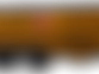 Essential Guide to Gulfport Dumpster Rental Options for Your Next Project