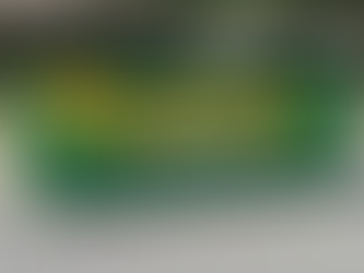 Convenient New Orleans Dumpster Options for Every Cleanup Need