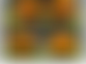 6-yard Mini Dumpster for Rental. We Drop Off We Pick Up Great For Garage Clean outs!