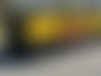 Convenient Gulfport Dumpster Options for Every Cleanup Need