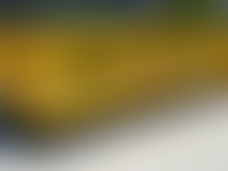 Features of Property-Safe Dumpster Solutions