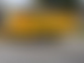 a 14 yard dumpster rental parked on the street in gulfport, mississippi