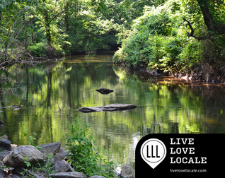 Explore Ridley Creek & Rose Tree Parks; Delaware County Woodlands only 16 Miles from Center City