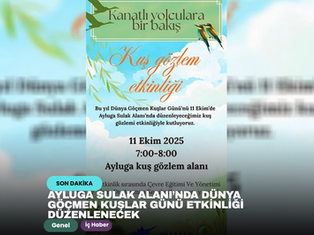 Ayluga Sulak Alanı’nda Dünya Göçmen Kuşlar Günü etkinliği düzenlenecek